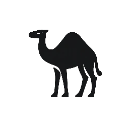 Official Morocco Trips | Private Tours & Sahara Adventures